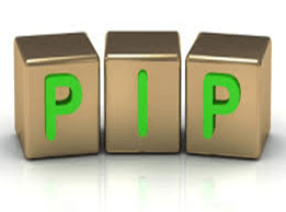 PIP insurance