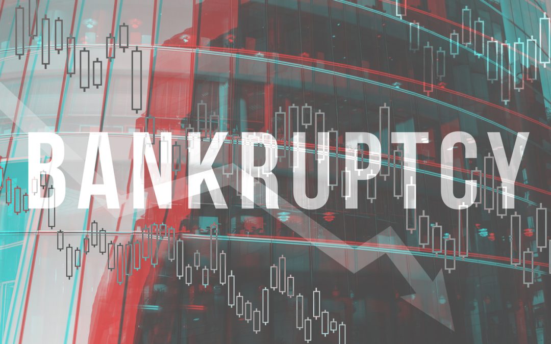 Who gets notified of my bankruptcy? 